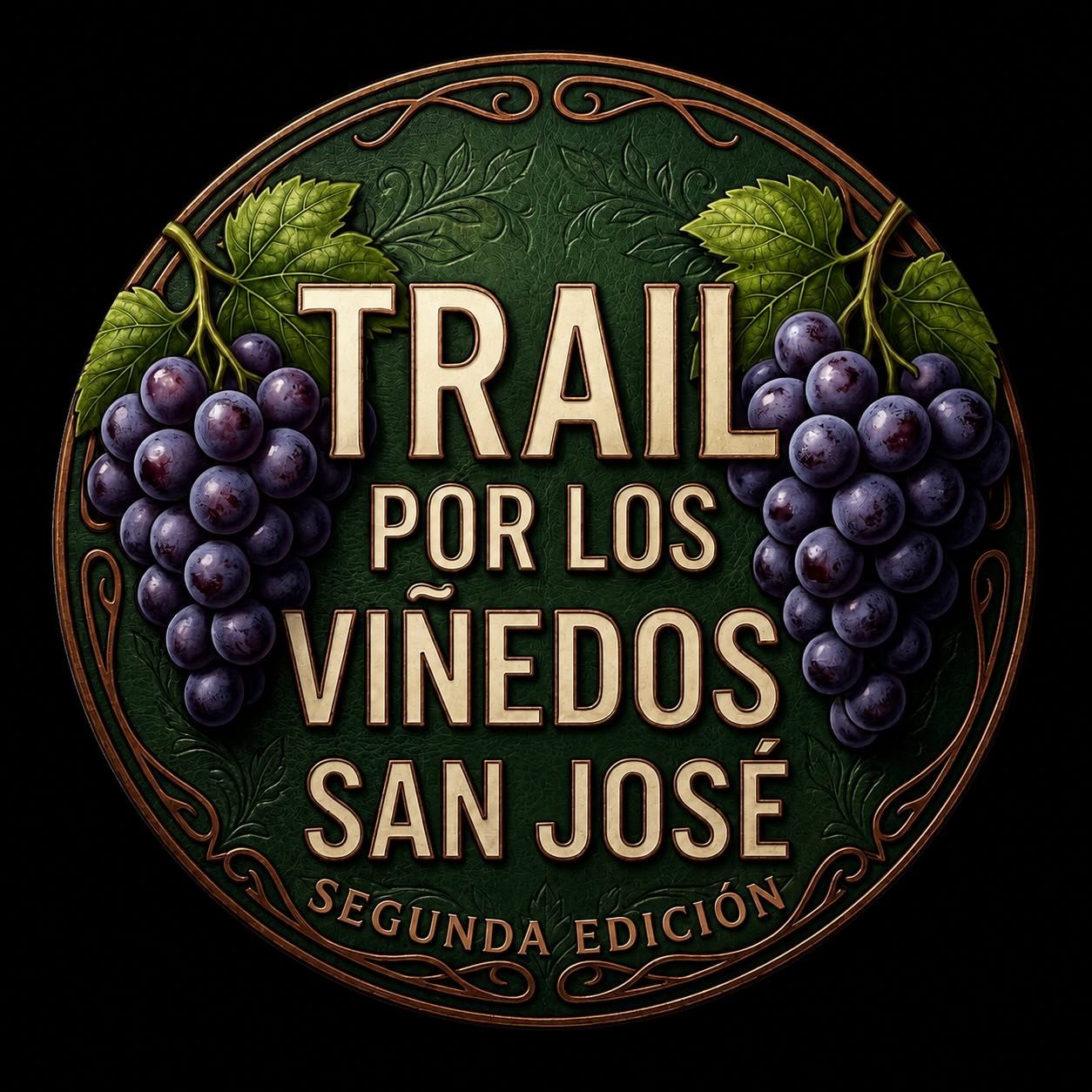 Imagen de Trail por los Viñedos